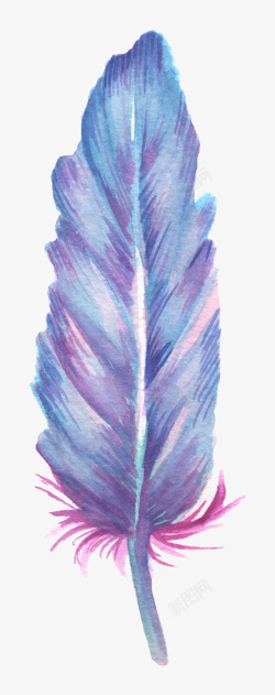 紫色羽毛素材