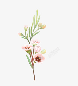 小清新唯美水彩花卉花朵素材