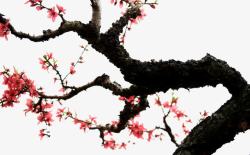 桃花树装饰素材