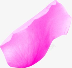 粉色花瓣摄影合成素材
