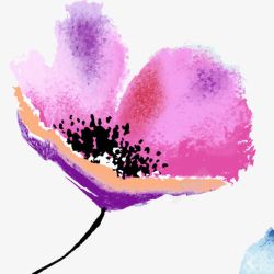 一朵紫粉色的木槿花手绘素材