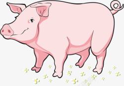 胖猪卡通胖猪高清图片