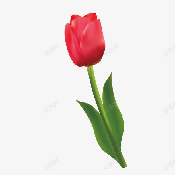红色玫瑰花png免抠素材_88icon https://88icon.com 叶脉 植物 渐变 环境 红色 绿色 自然 花朵