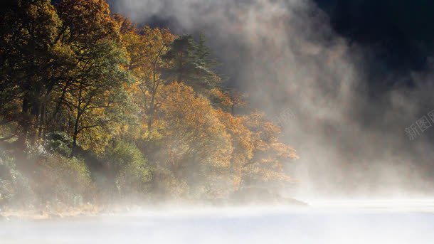 湖面烟雾树木雾气背景