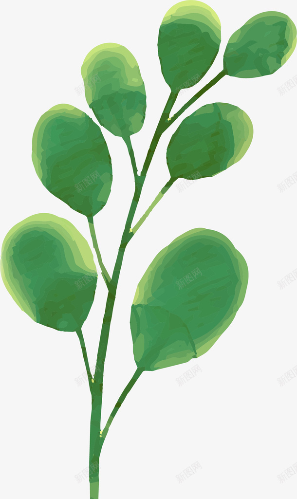 手绘创意水彩植物叶子png免抠素材_88icon https://88icon.com 卡通手绘 叶子 植物 水墨 水彩 绿叶 绿色 装饰