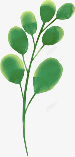 手绘创意水彩植物叶子素材