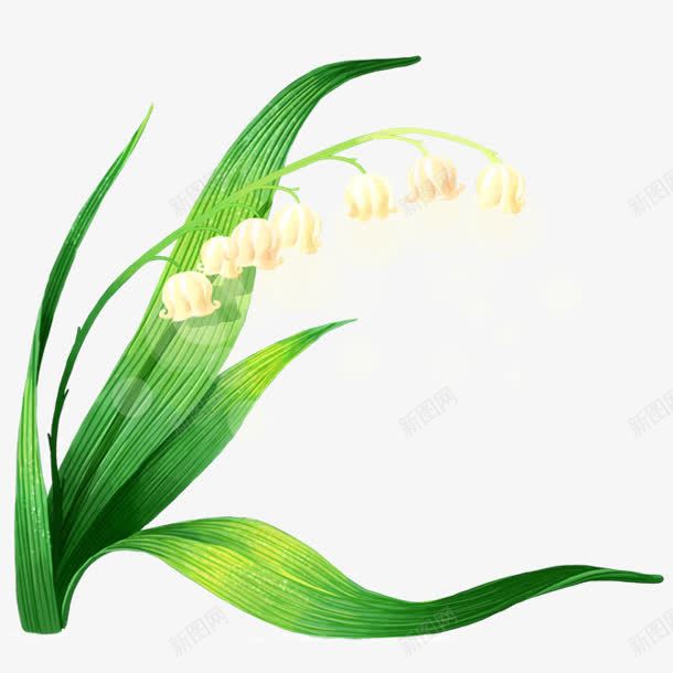 花朵白色花绿色叶子png免抠素材_88icon https://88icon.com 叶子 白色 绿色 花朵