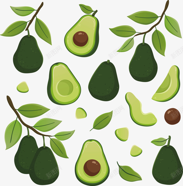 牛油果和牛油果叶子矢量图eps免抠素材_88icon https://88icon.com 叶子 水果 水果png 水果矢量图 牛油果 牛油果图 矢量图