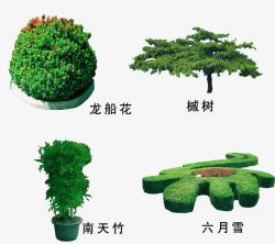 园林绿植园艺素材