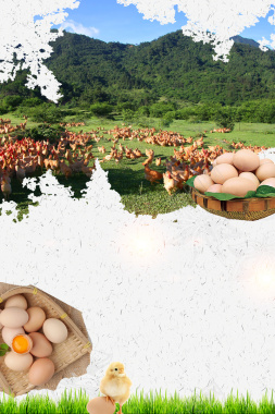 农场农家土鸡蛋美味餐饮海报背景背景