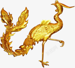 金色鸟素材金色凤凰高清图片