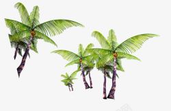 椰子树群装饰素材
