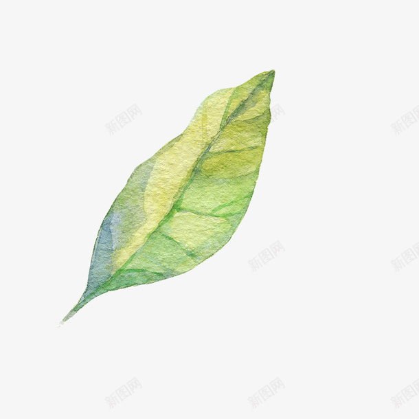 卡通手绘绿色的叶子png免抠素材_88icon https://88icon.com 创意 卡通手绘 树叶 水彩 绿叶 绿色的叶子