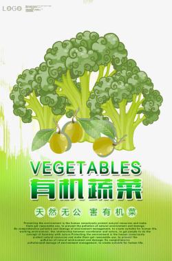 有机蔬菜素材