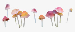 漂亮彩色蘑菇素材
