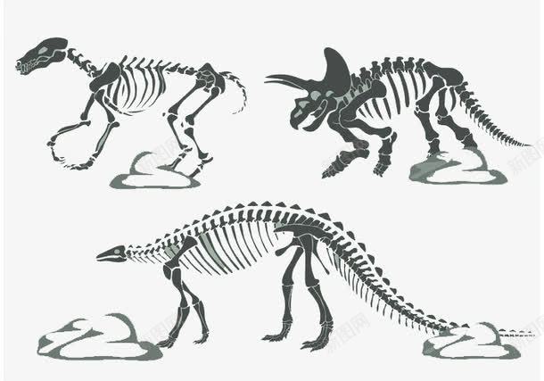 恐龙骨架png免抠素材_88icon https://88icon.com 可爱 平面化 简约