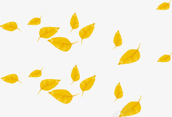 黄色树叶矢量图素材