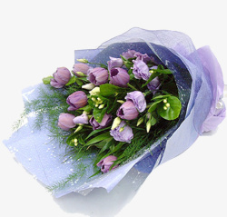 紫色郁金香花束素材