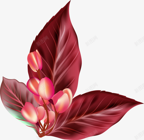 酒红色简约花朵png免抠素材_88icon https://88icon.com 免抠PNG 植物 简约 花朵 装饰图案 酒红色 鲜花