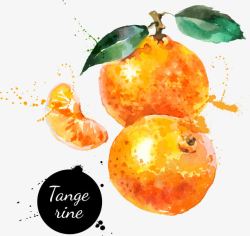 手绘水彩橘子素材