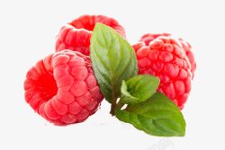 水果树莓素材