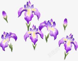 手绘紫色唯美花朵美景素材