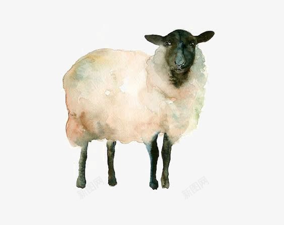 山羊png免抠素材_88icon https://88icon.com 动物 小羊 手绘山羊 水彩山羊 羊羔
