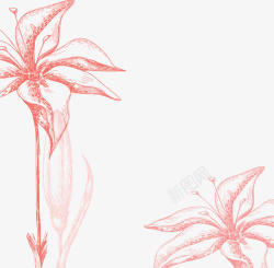 手绘粉色素描花朵图案素材