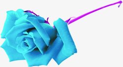 蓝色卡通唯美玫瑰花朵素材