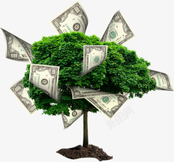 树与钱素材