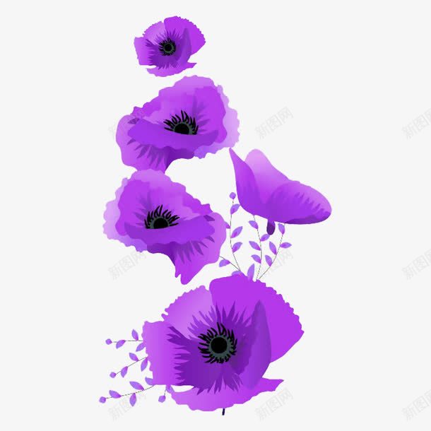 五爪金龙png免抠素材_88icon https://88icon.com 五爪金龙 植物 紫色花 花名 花朵 金龙图案