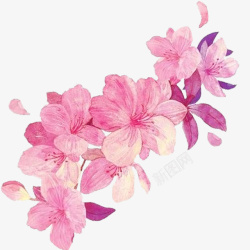 工笔画粉色花朵素材