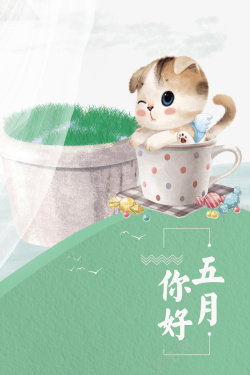 五月你好猫草地五月素材