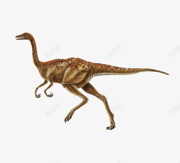 红色斑点黄色恐龙png免抠素材_88icon https://88icon.com 侏罗纪 动物 恐龙 斑点 红色