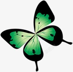 创意手绘质感绿色的花蝴蝶素材