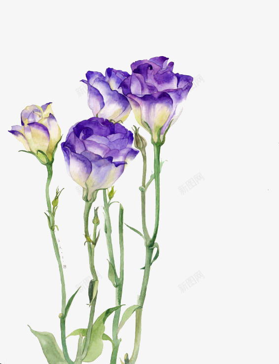 紫色花朵psd免抠素材_88icon https://88icon.com 紫白色 绿茎 花朵 装饰素材