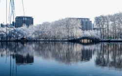 北京玉渊潭雪景二素材