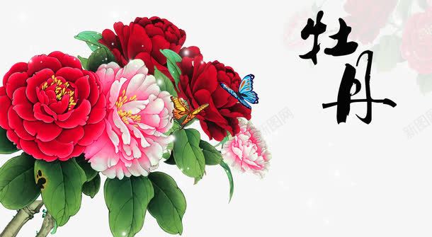 牡丹花png免抠素材_88icon https://88icon.com png图片素材 免费png素材 叶子 红色 花卉 花朵 花朵素材