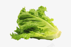 绿色生菜新鲜的小颗生菜高清图片