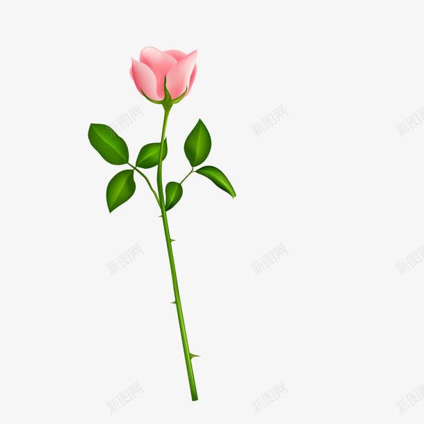 绿色植物粉色玫瑰png免抠素材_88icon https://88icon.com 植物 玫瑰 玫瑰粉色 粉色 绿色