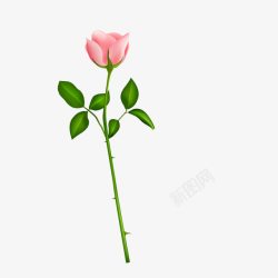 绿色植物粉色玫瑰素材