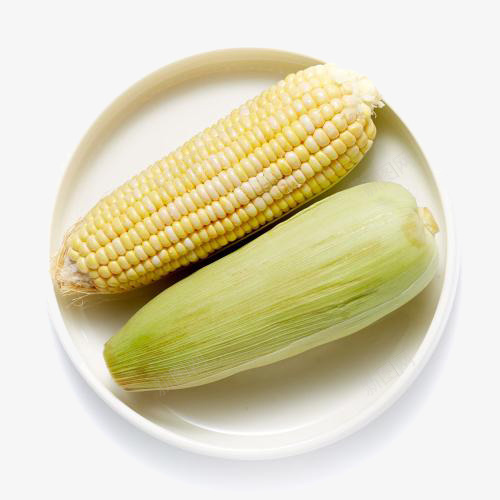 玉米元素png免抠素材_88icon https://88icon.com 拨开的玉米 新鲜玉米 有机玉米 玉米