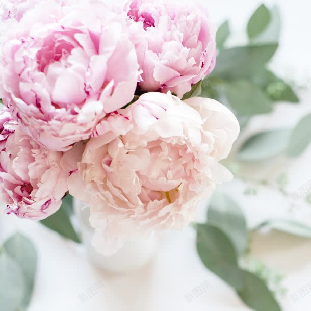 可爱唯美浪漫玫瑰花朵jpg设计背景_88icon https://88icon.com 可爱 浪漫 玫瑰 花朵