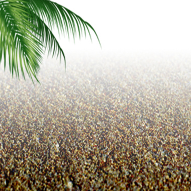 海滩椰子树淘宝主图背景摄影图片