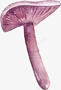 手绘紫色蘑菇素材