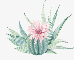 手绘水彩粉色花朵绿色植物素材