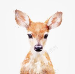 小鹿动物手绘插画素材