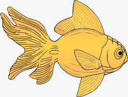 黄色的手绘金鱼素材