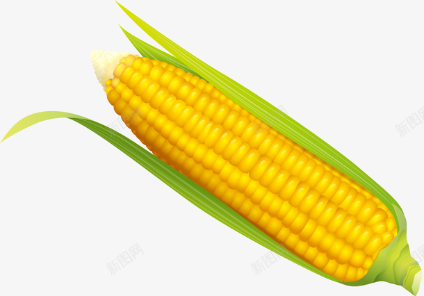卡通黄色玉米png免抠素材_88icon https://88icon.com 卡通 叶子 小清新 水彩 玉米 简约 食品 黄色