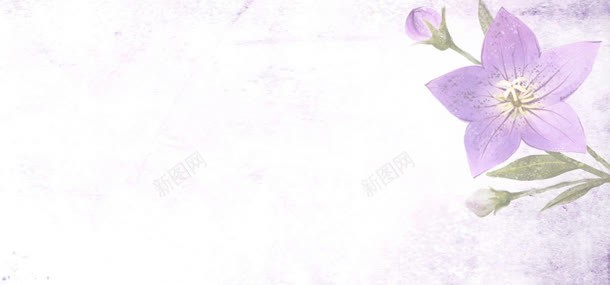 彩色手绘背景jpg设计背景_88icon https://88icon.com 手绘 插画 花朵 鲜花